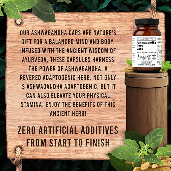 Santa Cruz Paleo Ashwagandha Capsules, 600mg Ashwagandha Root per Capsule, Gluten Free, Keto, Sugar Free, Paleo, Supports Energy, Focus, and Relaxation, BioPerine for Fast Absorption, 60 Capsules
