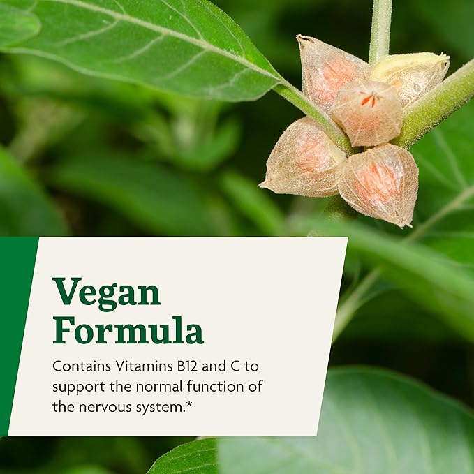Floradix Ashwagandha Liquid Herbal & Vitamin Formula - Herbal Supplement with Ashwagandha Extract, Vitamin C, Vitamin B12 & More - Stress Support Formula* - Vegan & Non-GMO - 8.5 fl oz