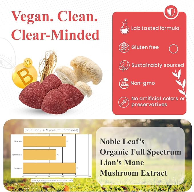 Lion Mane Mushroom Gummies for Focus and Energy - Focus Gummies for Adults with American Ginseng & B12 for Clarity & Natural Energy, Vegan, Non-GMO, Gluten Free, Fruit Punch Flavor, 7 Count