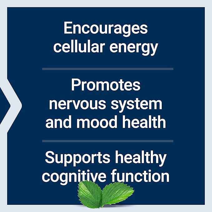 Life Extension Acetyl-L-Carnitine, Acetyl-L-Carnitine, Vitamin C, Brain, Mood & Nerve Health, Cellular Energy, 3-Month Supply, Gluten-Free, Non-GMO, Vegetarian, 100 Capsules