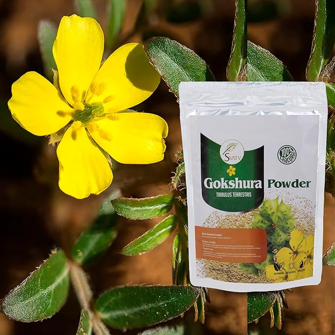 SVATV Gokshura Powder II Tribulus Terrestris Powder/Gokharu Powder II 227g, 0.5lb, 8oz