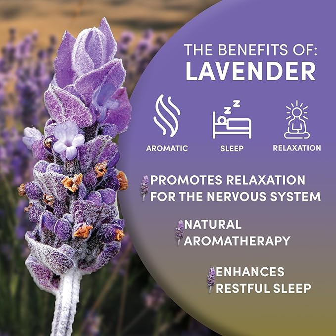 Worldwide Botanicals Organic Lavender Flowers, 4 ounces, Pure European Lavender buds, Perfect for Aromatherapy, Sachets, Wedding celebrations, Tea flavoring, Eye pillows Scenting The Home