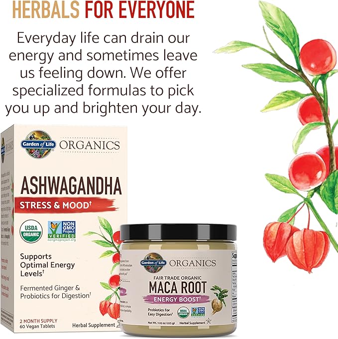 Garden of Life Organics Fair Trade Gelatinized Peruvian Maca Root Energy Boost 7.93 oz (225g) Powder with Probiotics, Certified Organic, Non-GMO, Vegan & Gluten Free Herbal Supplements