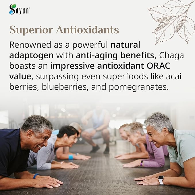 Sayan Siberian Pure Raw Coarse Chaga Powder 6 Oz / 170g – Premium Wild Forest Harvested Super Antioxidant Tea – Supports Immune System and Digestive Health – Focus, Energy, Clarity, Wellness - Non-GMO