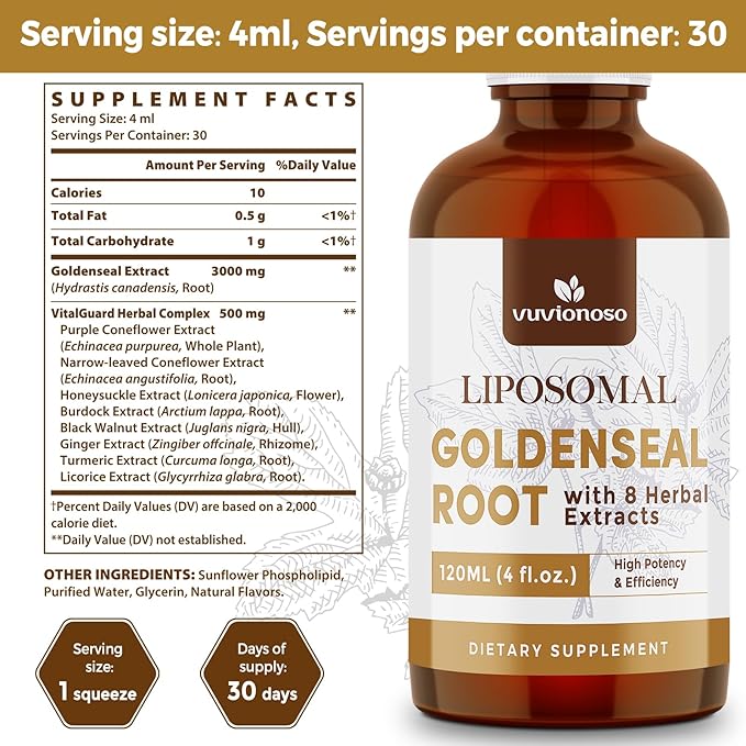 Golden Seal Tincture 3000mg - Goldenseal Root for Immune Function & Lung Care - Sugar-Free, Vegan, Fast Absorbing - Echinacea & Goldenseal Liquid Extract, 120ml (Pack of 2)
