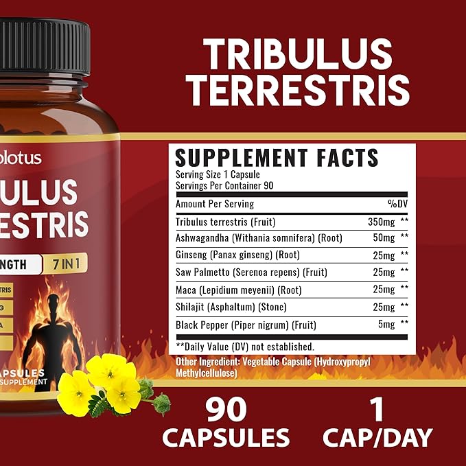 Tribulus Terrestris Capsules with Ashwagndha, Panax Ginseng, Saw Palmetto, Maca, Shilajit - 90 Capsules - 3 Months Supply