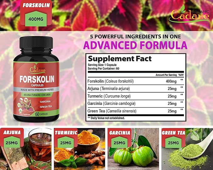 Organic Forskolin Supplements Capsules with Turmeric Curcumin, Arjuna, Garcinia Cambogia, Green Tea - 60 Capsules