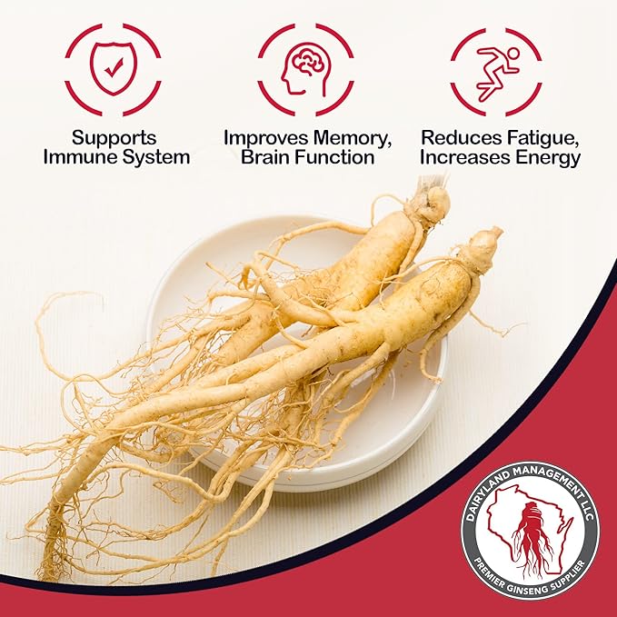 Dairyland American Ginseng Extract 2 Fl oz 西洋参提取物, Authentic Wisconsin Ginseng Liquid for Healthy Energy, Vitality, Mood and More- Non-GMO, Gluten Free - Ginseng Herb Supplement for Daily Use