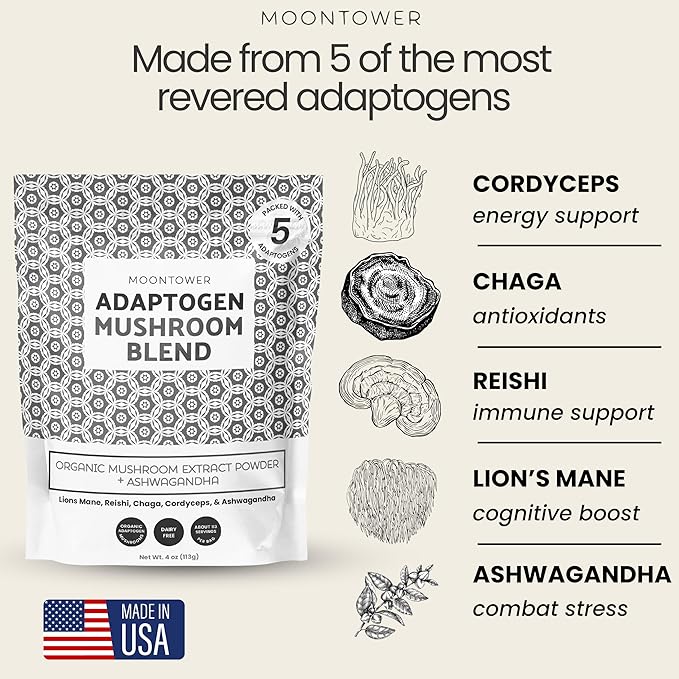 Organic Mushroom Extract Blend - Mushroom Blend Powder with Lion's Mane, Reishi, Chaga, Cordyceps & Ashwagandha - Sugar-Free Immune Support, 113 Servings
