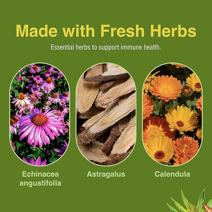 Herbs Etc. Immunoboost - Herbal Supplement for Immune System Support - Immune Health Support with Echinacea Angustifolia, Astragalus & Calendula - Gluten-Free - 60 Softgels (60 Servings)
