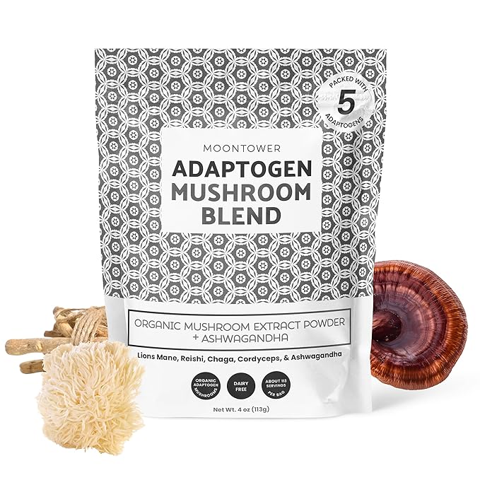 Organic Mushroom Extract Blend - Mushroom Blend Powder with Lion's Mane, Reishi, Chaga, Cordyceps & Ashwagandha - Sugar-Free Immune Support, 113 Servings