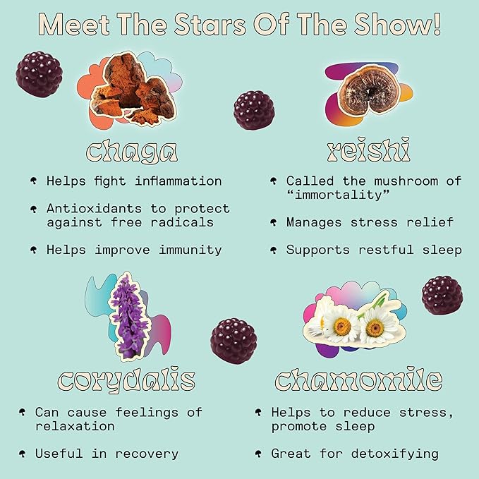 Sleep Gummies for Adults - Mushroom Supplement with Magnesium Citrate, L-Theanine, Chaga, Reishi & Chamomile for Deep Sleep, REM & Detox - Vegan & Sugar-Free - 60 Gummies (30 Servings)