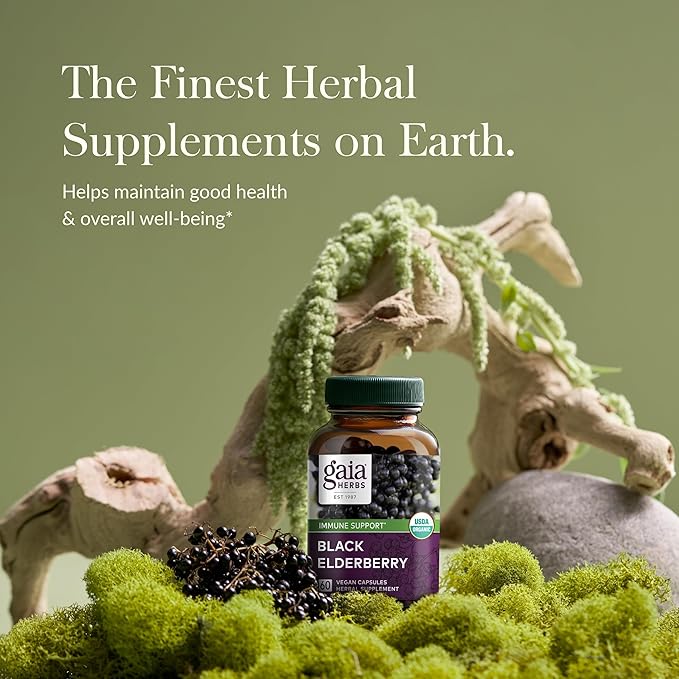 Gaia Herbs Black Elderberry - Daily Immune Support Supplement to Help Maintain Well-Being - with Black Elderberries and Acerola Fruit for Antioxidant Support - 60 Vegan Capsules (30-Day Supply)