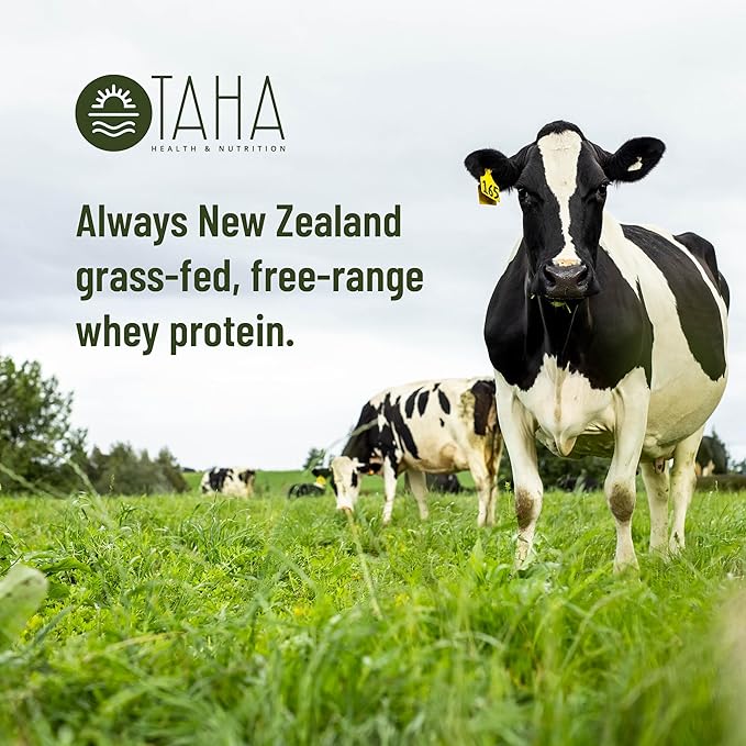 Taha Health & Nutrition Vanilla Whey Protein Isolate Powder, 30g Protein, 7.9g BCAAs, 4.3g Leucine | New Zealand Free-Range, Grass-Fed Dairy | Gluten-Free, Keto, Kosher | 2LB, 25 Servings