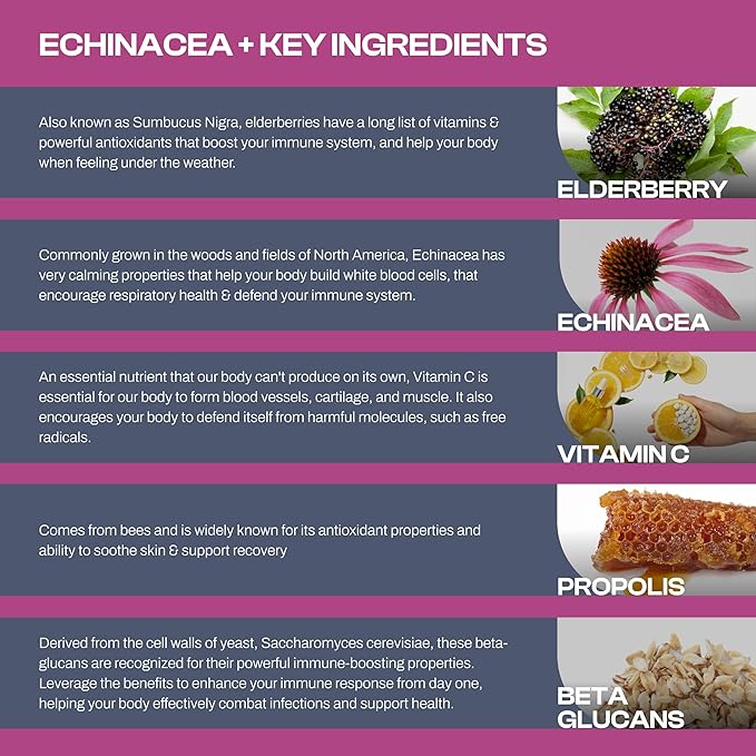 Echinacea Immune Support Supplement, Infused with Elderberry, Vitamin C, Propolis and Beta Glucans, Immune Booster Vitamins and Supplements for Adults, 60 Vegan Echinacea Capsules