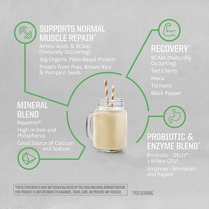 Vegan Protein Powder Plant-Based USDA Organic BCAAs | 30g per Serving | Sugar, Gluten, Dairy Free Non-GMO | Unflavored, 20 Servings | Active Sport