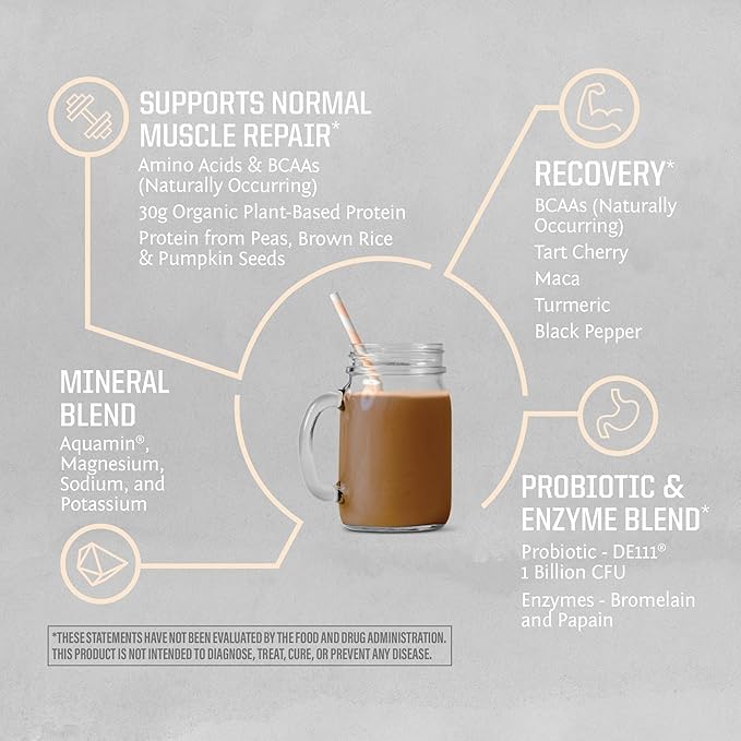 Sunwarrior Vegan Protein Powder Plant-Based USDA Organic BCAAs 30g per Serving | Sugar, Gluten, Dairy Free Non-GMO | Chocolate Flavored, 20 Servings | Active Sport