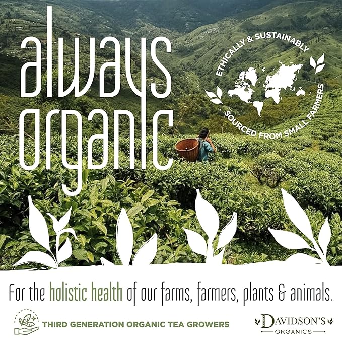 Davidson's Organics, Moringa Chamomile Lavender, 100-count Individually Wrapped Tea Bags