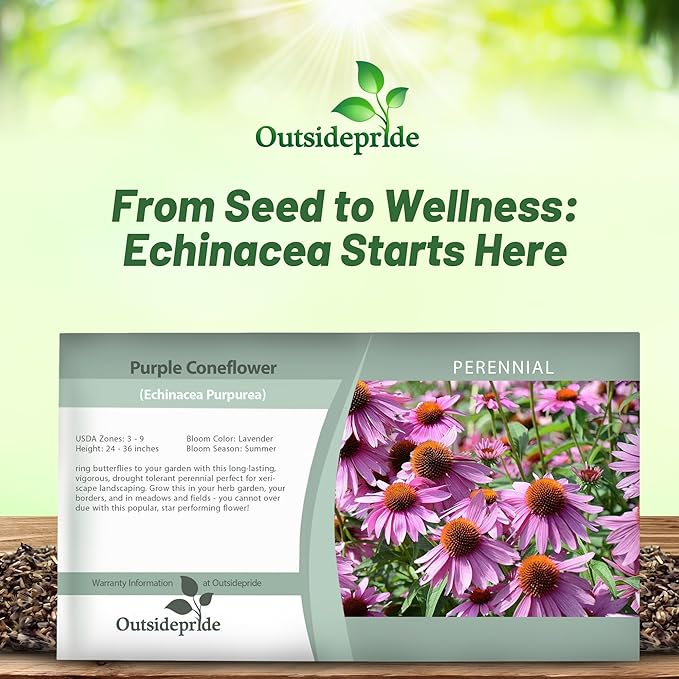 Outsidepride Purple Echinacea Coneflower Seeds - 1000 Pcs Perennial, Deer-Proof & Drought Tolerant Flower Seeds with Daisy-Like Blooms for Pollinator-Friendly Gardens, Borders, & Meadows