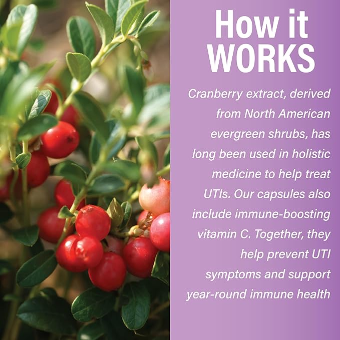 Plant Therapy Cranberry Extract with Vitamin C Herbal Supplement Capsules, Supports Urinary Tract Health, Rich in Antioxidants for Immune, 120 Vegetarian Capsules (4 Month Supply) Made in The USA