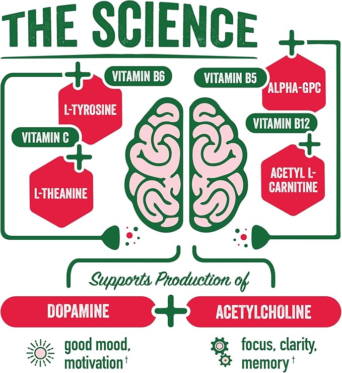 BrainJuice Nootropics Brain Support Supplement, Gluten Free Powder for Energy and Focus, Drink Mix with L Theanine, Alpha GPC, Vitamin B, Organic Green Tea Extract Caffeine, Pomegranate, 15 Servings