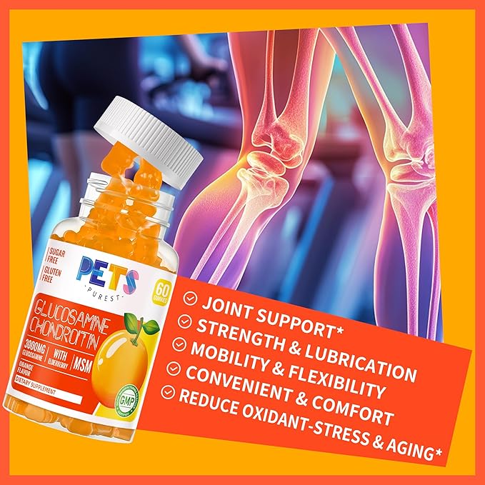 Glucosamine Chondroitin Gummies with MSM & Elderberry Extra Strength - Joint Support, Antioxidant Immune Support Supplement for Adults, Men & Women.(2 Pack) Orange