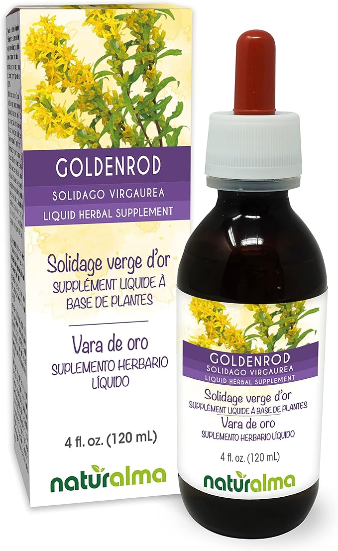 Naturalma Goldenrod (Solidago virgaurea) herb with Flowers Alcohol-Free Tincture - 4 fl oz Liquid Extract in Drops - Herbal Supplement - Vegan