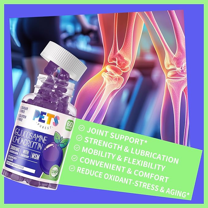 Glucosamine Chondroitin Gummies with MSM & Elderberry Extra Strength - Joint Support, Antioxidant Immune Support Supplement for Adults, Men & Women.(2 Pack) Blueberry