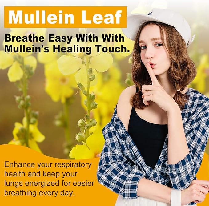 Mullein Leaf Extract 1530 Mg, 15-in-1 Herbal Supplements,Mullein Leaf Extract for Lungs,Bottled in USA - 60 Capsules