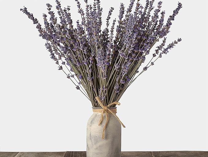 Dried Lavender 4 Bunches 100% Fresh Natural Purple Bouquet Flowers for Bathroom Photo Props Crafts (200g/7oz), 15-17" for Shower Weeding Vase Decor, Aromatherapy Home Fragrance(400-440 Stems Total)