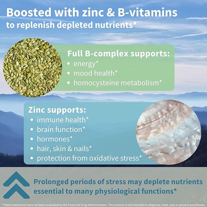Igennus High Strength Ashwagandha Stress Relief Complex, L-Theanine & Magnesium & KSM-66 Root Extract Adaptogens, Methylated B Vitamins, Calm & Sleep Support, Clean Label, 360 Vegan Capsules