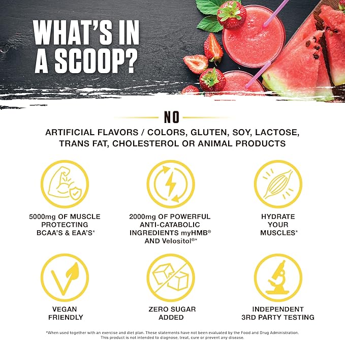 Ambrosia Hydroglyph Intraworkout Formula w/BCAA + EAA + Electrolytes Hydration Powder to Protect Lean Muscle, 0g Sugar Fasting Hydration Drink Mix, Made w/Coconut Water (Strawberry Watermelon)