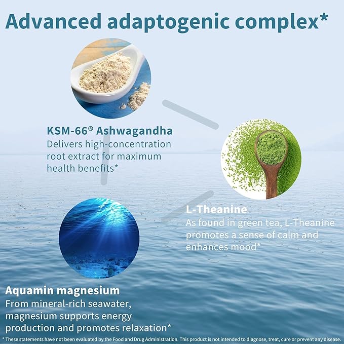 Igennus High Strength Ashwagandha Stress Relief Complex, L-Theanine & Magnesium & KSM-66 Root Extract Adaptogens, Methylated B Vitamins, Calm & Sleep Support, Clean Label, 360 Vegan Capsules