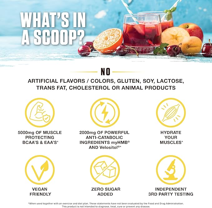 Ambrosia Hydroglyph Intraworkout Formula w/BCAA + EAA + Electrolytes Hydration Powder to Protect Lean Muscle, 0g Sugar Fasting Hydration Drink Mix, Made w/Coconut Water (Fruit Punch)