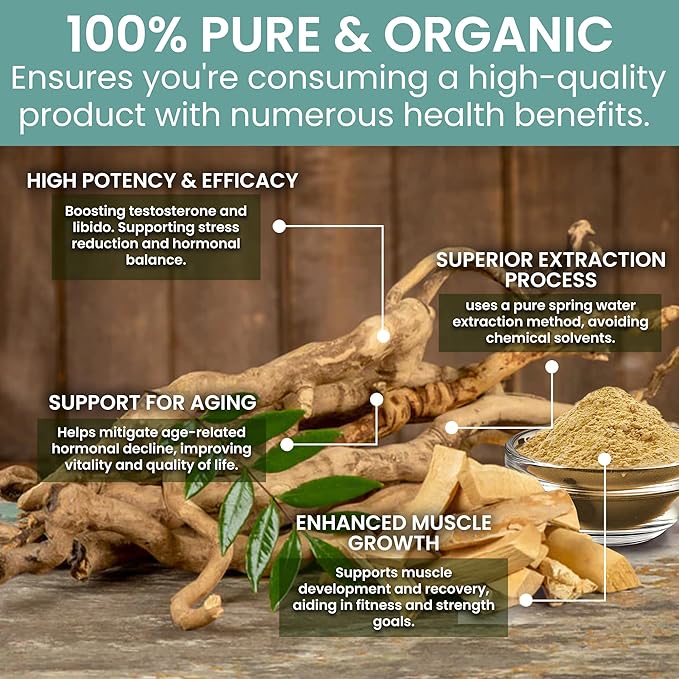 Holistic Bin Tongkat Ali Extract Powder – Premium Longjack Harvested from Sumatran Forests – Herbal – Father's Day Gift – No Fillers or Preservatives – 50 Grams