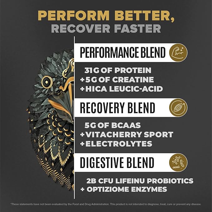 Falcon Performance Vegan Protein Powder, 31g Protein, 5g Creatine, 5g BCAA, Probiotics, Electrolytes, Pre Workout, Low Carb, Sugar Free & Dairy Free, Plant Based Vanilla Protein -19 Servings