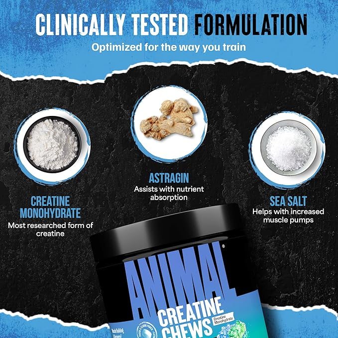 Animal Creatine Chews – Enhanced Creatine Monohydrate Chewable Tablets with AstraGin & Sea Salt, Max Absorption Pre Post-Workout, Lean Muscle Growth, Strength & Recovery, New Flavor Candy Crush’d