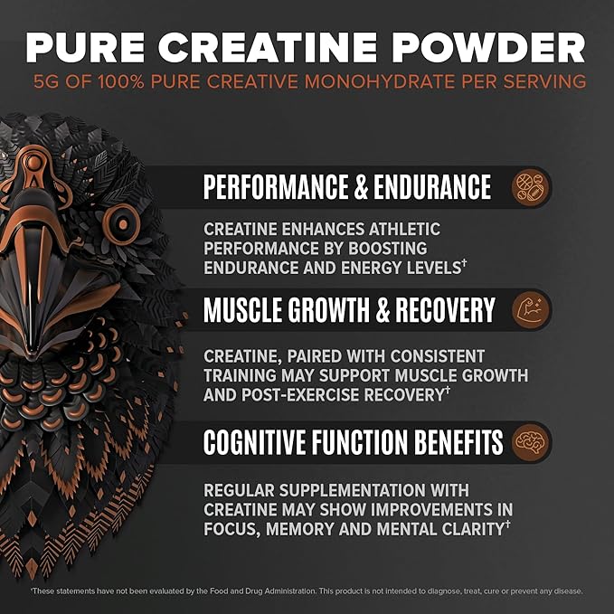 Falcon Performance Vegan Protein Powder, 31g Protein, 5g Creatine, 5g BCAA, Probiotics, Electrolytes, Pre Workout, Low Carb, Sugar Free & Dairy Free, Plant Based Chocolate Protein, 28 servings