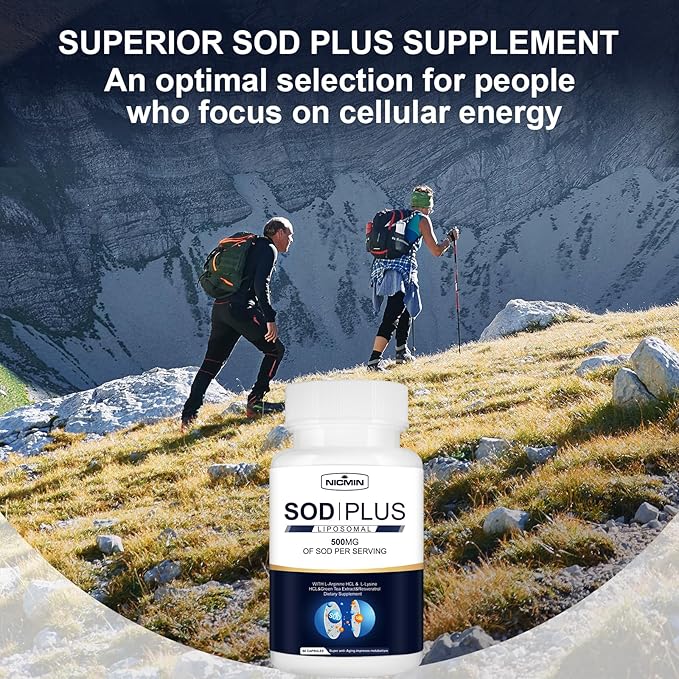 500MG Superoxide Dismutase Supplement - SOD Plus with Liposomal Glutathione, AKG, Green Tea Extract, L-Arginine, Lysine, Resveratrol and Vitamin E for Immune Support, Antioxidant 120 Capsules