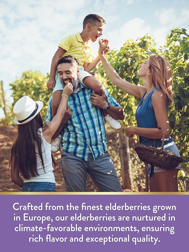 Nature's Truth Elderberry Immune Complex | 60 Chewable Tablets | Plus Vitamin C & Zinc | Mixed Berry | Vegan, Non-GMO, & Gluten Free Supplement