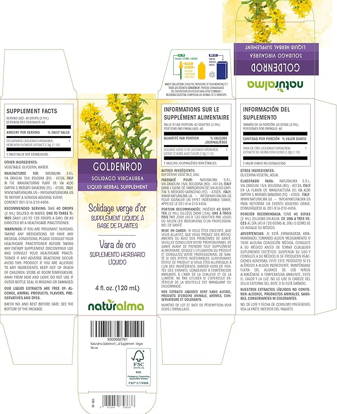 Naturalma Goldenrod (Solidago virgaurea) herb with Flowers Alcohol-Free Tincture - 4 fl oz Liquid Extract in Drops - Herbal Supplement - Vegan