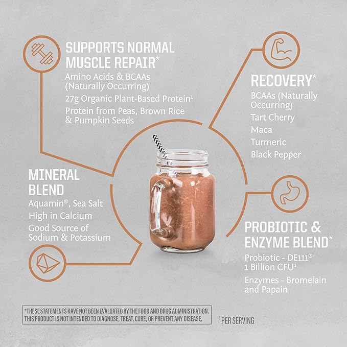 Vegan Protein Powder Plant-Based USDA Organic BCAAs | 27g Protein per Serving | Sugar Free, Gluten Free Non-GMO Dairy Free | Peanut Butter Chocolate Flavored, 20 Servings | Active Sport Protein Powder