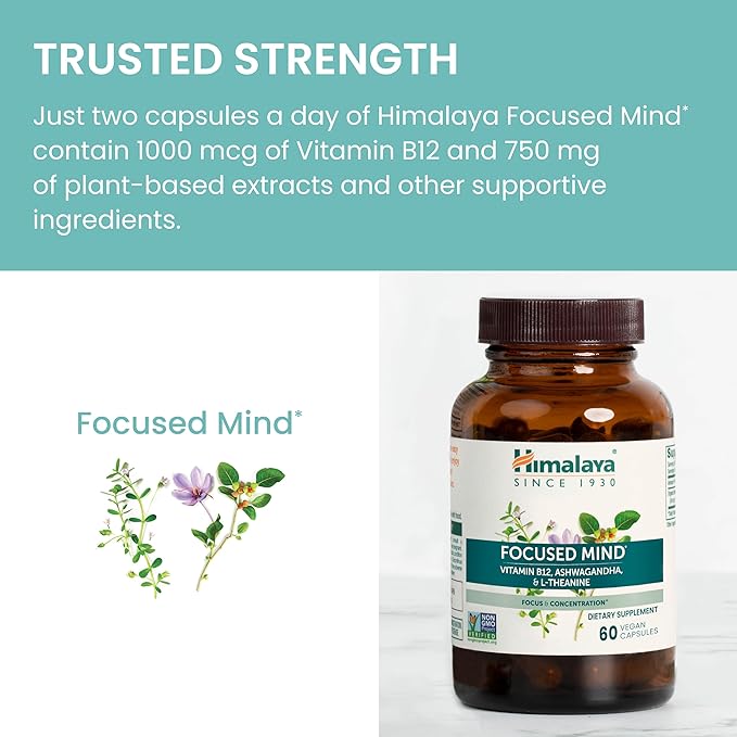 Himalaya Focused Mind with Ashwagandha, Bacopa & L-Theanine for Focus, Energy and Attention, 60 Capsules, 1 Month Supply, Vegan, Gluten Free