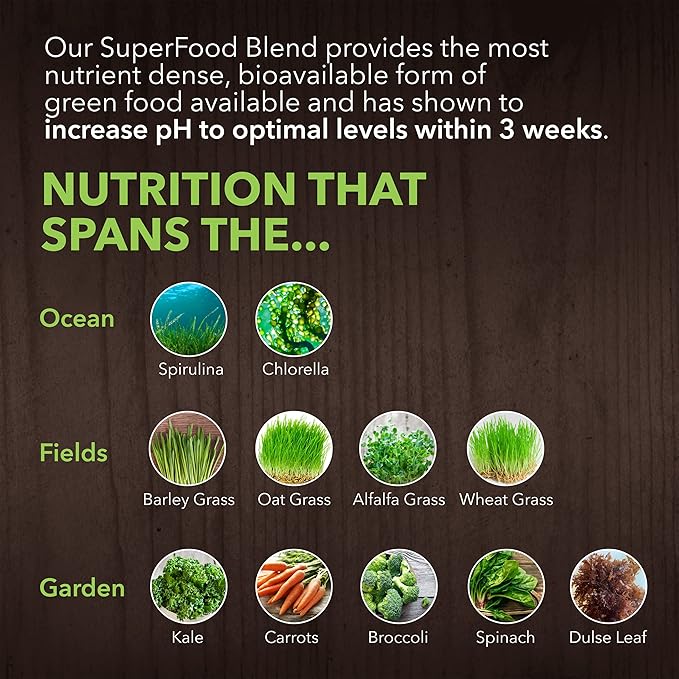 PlantFusion Alkalizing Super Greens Powder - Fermented Greens Superfood Powder Blend with Digestive Enzymes Probiotics & Prebiotic Fiber - Organic, Non-GMO, Vegan, Gluten-Free - 8.46 oz 30 Servings