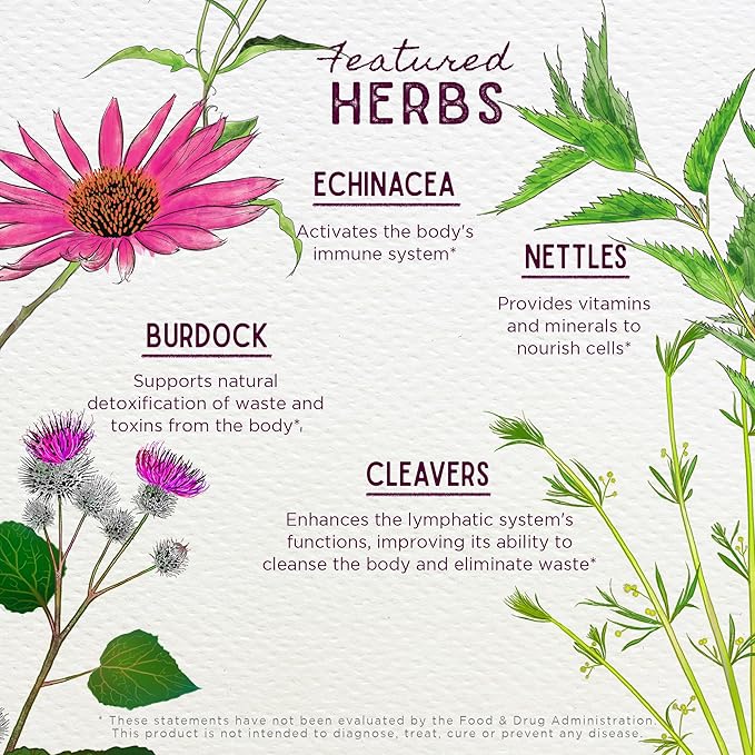 WishGarden Herbs Daily Immune Builder with Black Elderberry & Astragalus - Daily Immune Support Formula for Adults, Herbal Immune System Booster with Elderberries, 2oz