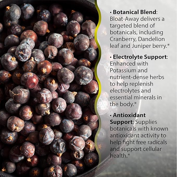 Irwin Naturals Bloat-Away - Water Balance Support - Replenish Electrolytes & Essential Minerals - 60 Liquid Soft-Gels