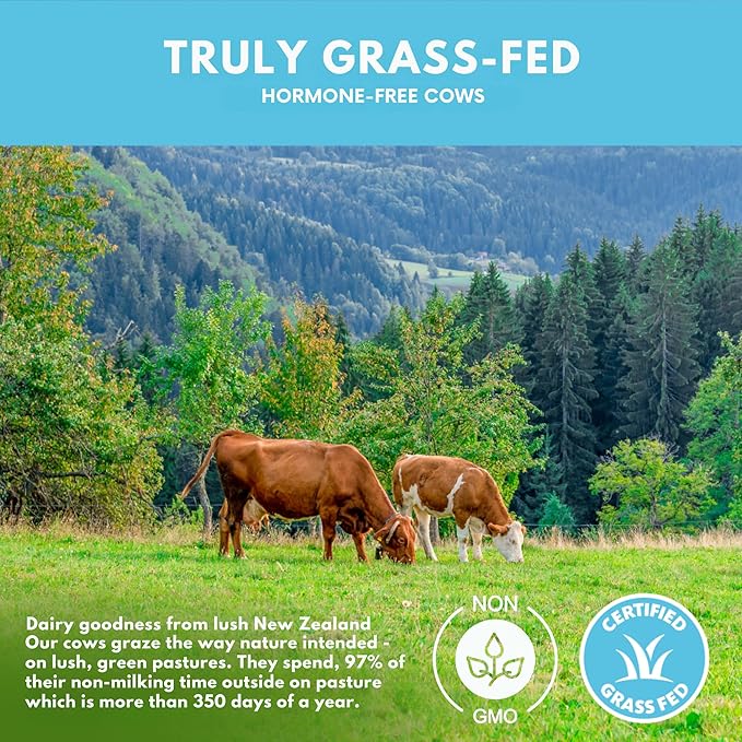 Opportuniteas Grass Fed Coffee Whey Protein Isolate Powder - 27g Protein Powder Without Artificial Sweeteners, 60mg Caffeine, Hormone-Free Cows - 5lb