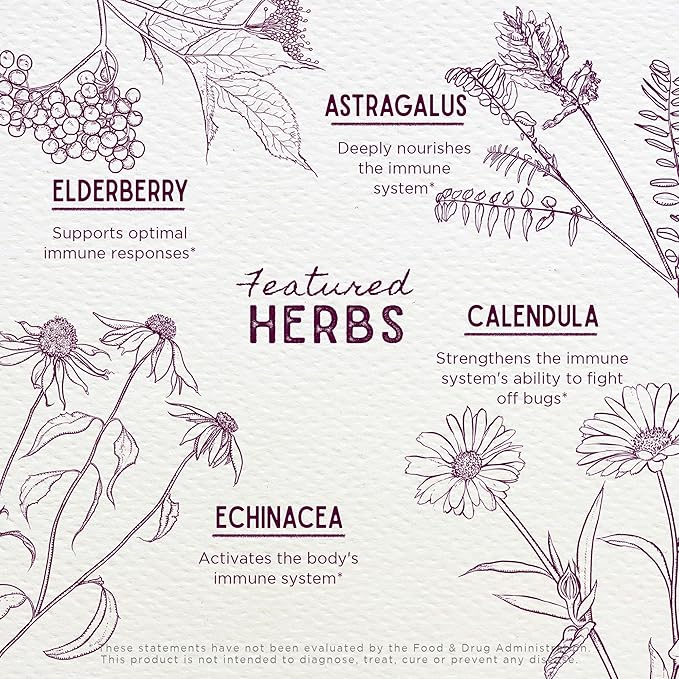 WishGarden Herbs Daily Immune for Kids - Daily Immune Support Formula for Children, Herbal Immune Defense & Immune System Booster with Black Elderberry & Echinacea, Kids Immune Support Supplement, 4oz