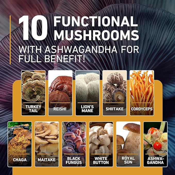 Mushroom Gummies 10 Blend 120 pcs - Lions Mane, Ashwagandha, Turkey Tail, Cordyceps, Chaga, Reishi Mushroom Complex - Mushroom Supplement for Immune, Energy, Clarity & Cognitive