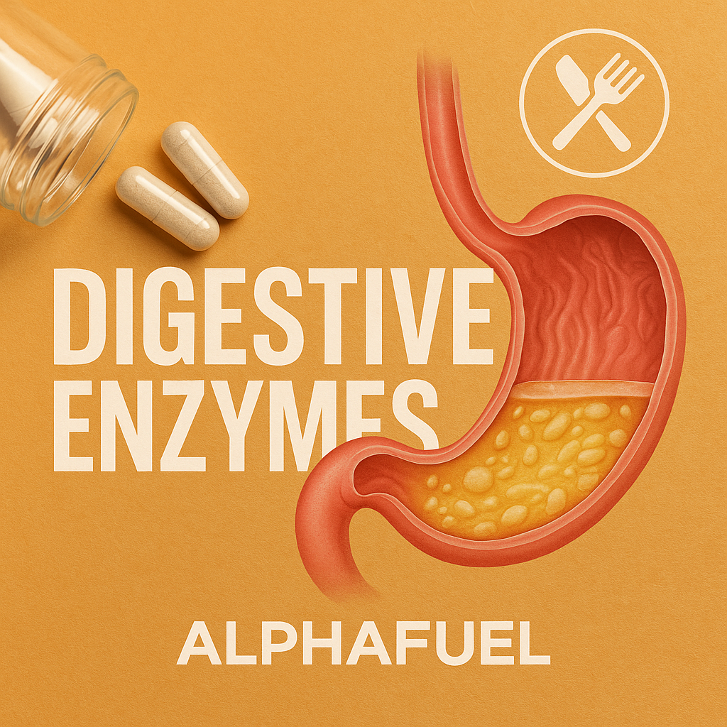 Digestive Enzymes